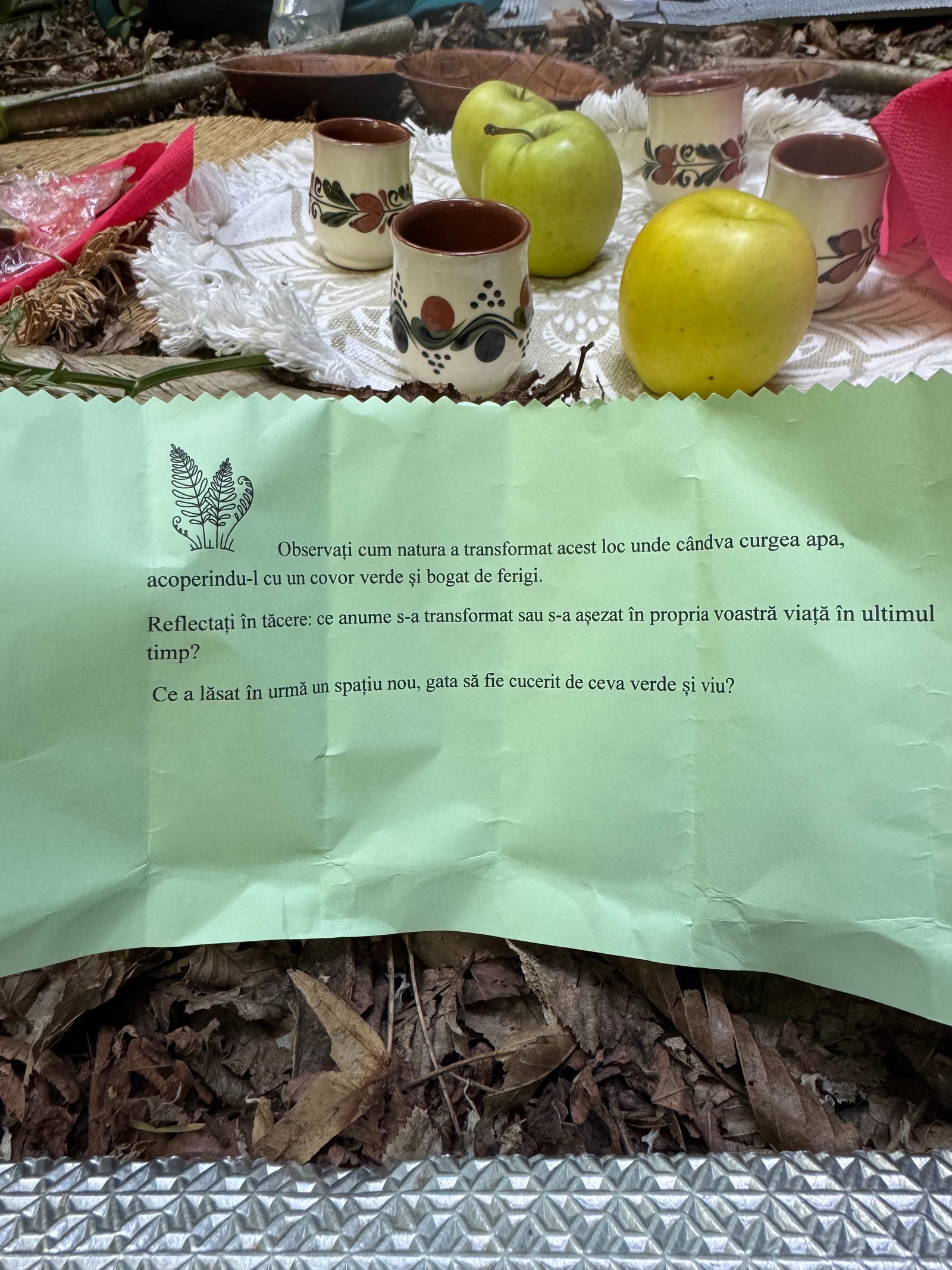 CORIDORUL VERDE - silvoterapie într-o veche albie de rău, la poalele Dealurilor Făgetului - 24 Mai, 2026
