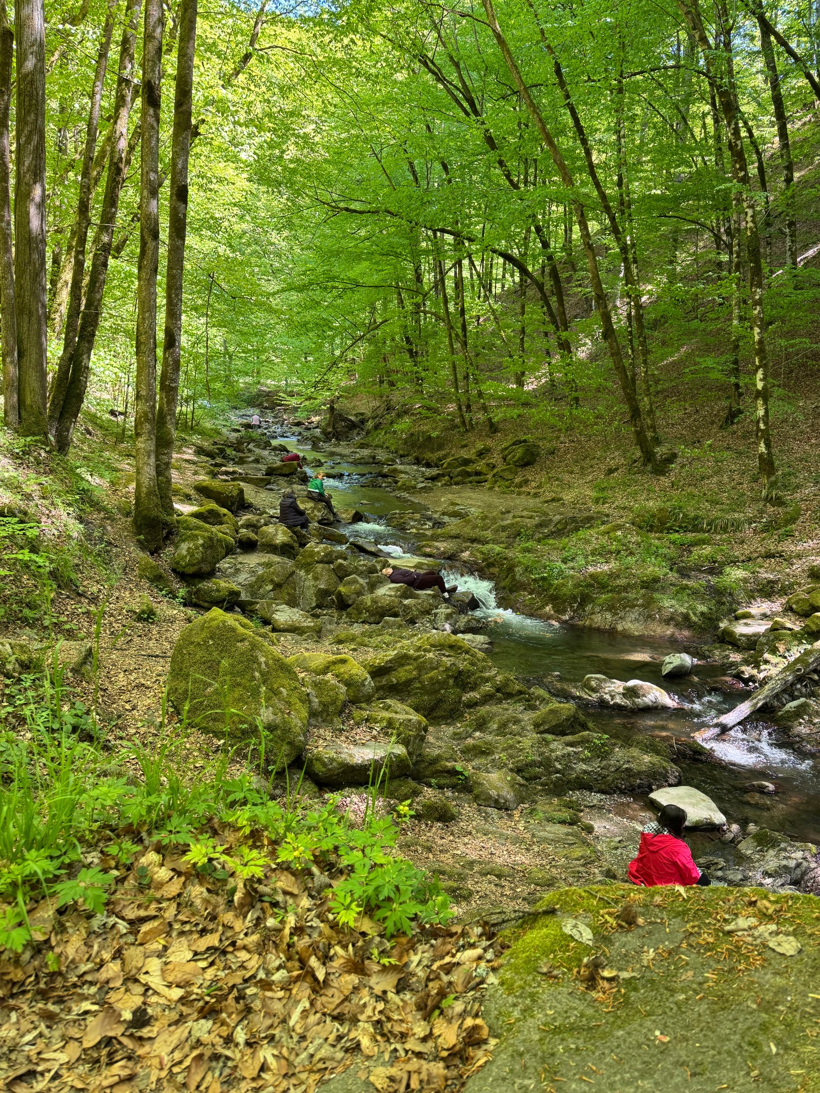 DIALOGUL DINTRE APE - Cascada Cornet