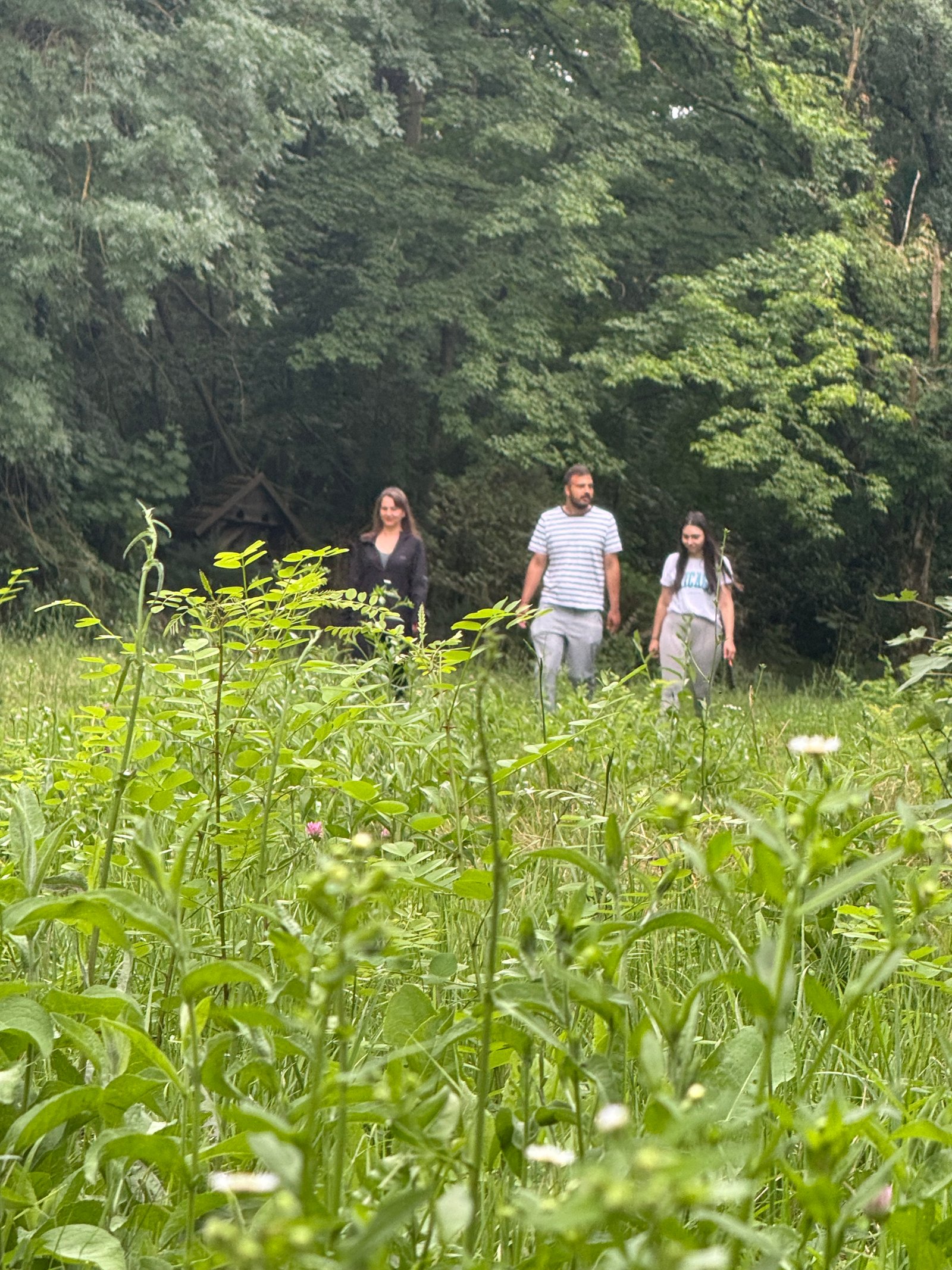 Team building cu silvoterapie in Parcul Dendrologic Bazos, Timis