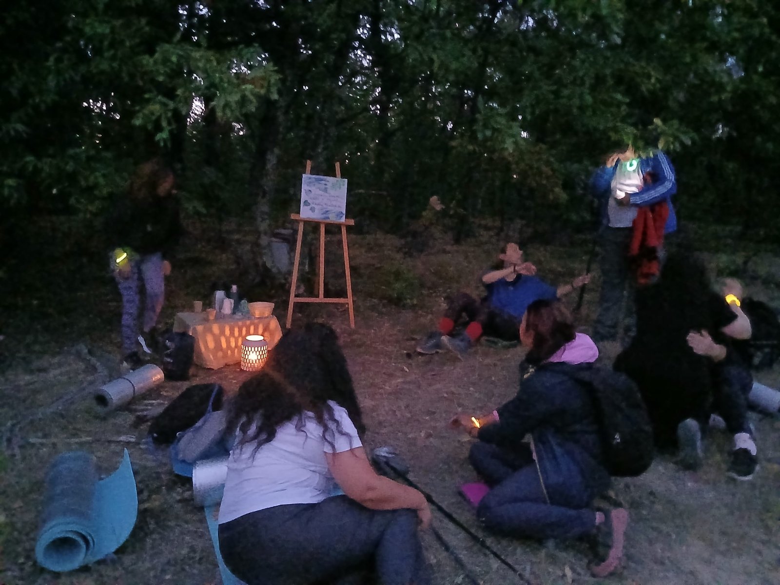 Silvoterapie nocturna  cu Perseidele - LA STELE