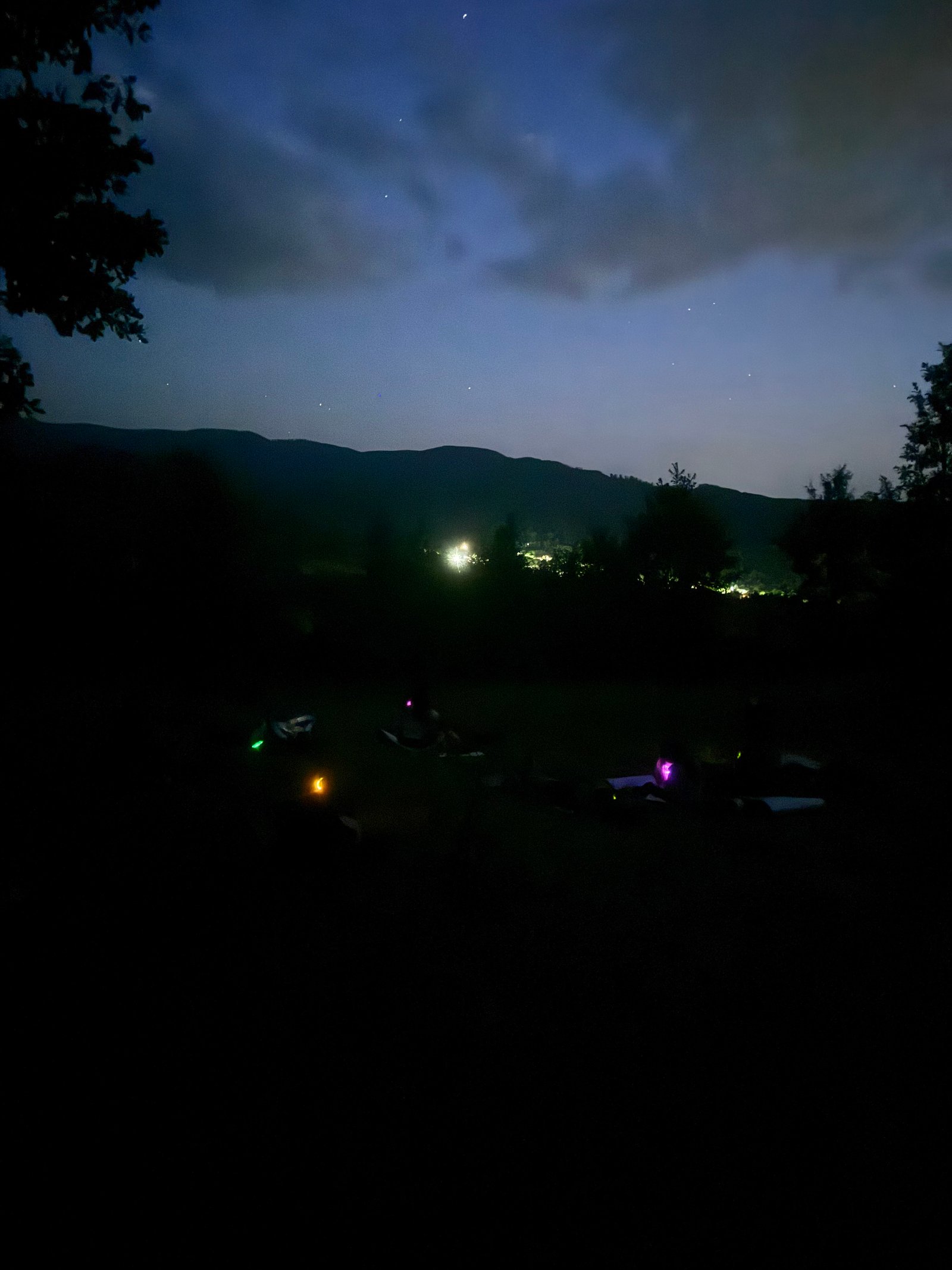 Silvoterapie nocturna  cu Perseidele - LA STELE