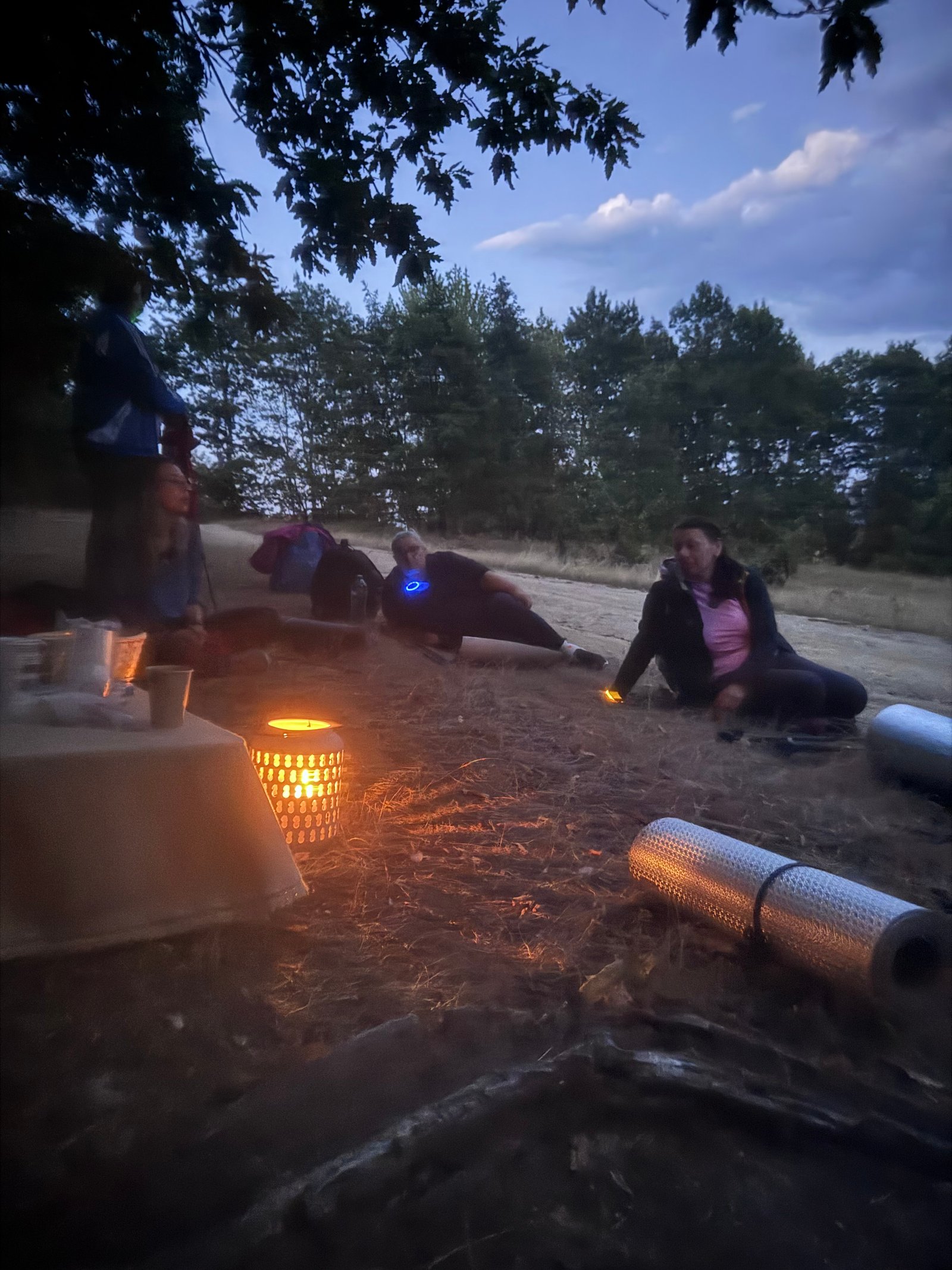 Silvoterapie nocturna  cu Perseidele - LA STELE
